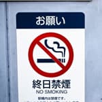 終日禁煙